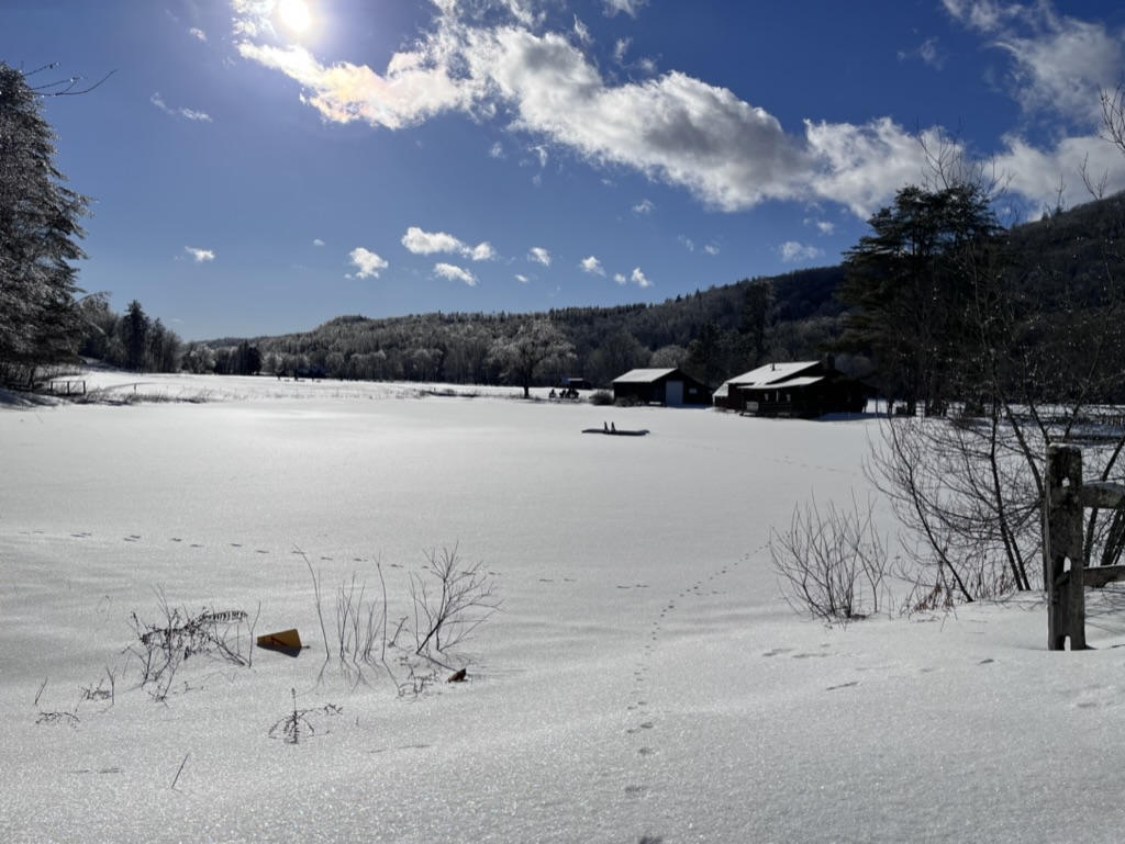 snoe shoeing, winter,